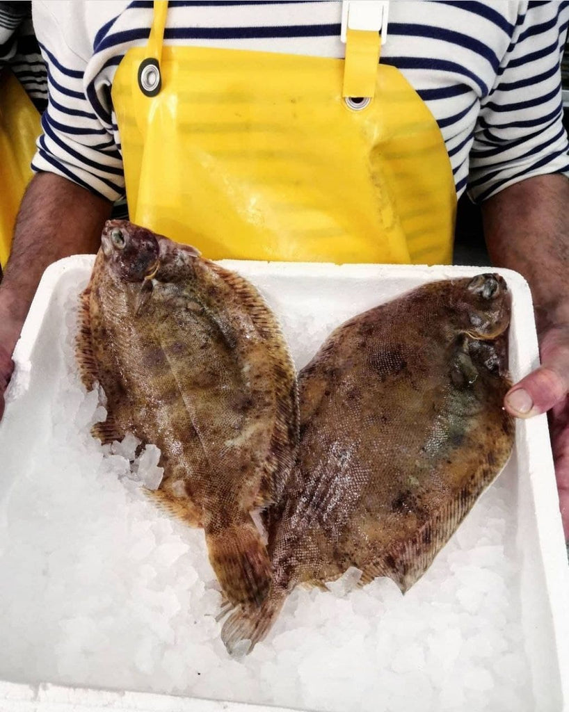 Lemon Sole