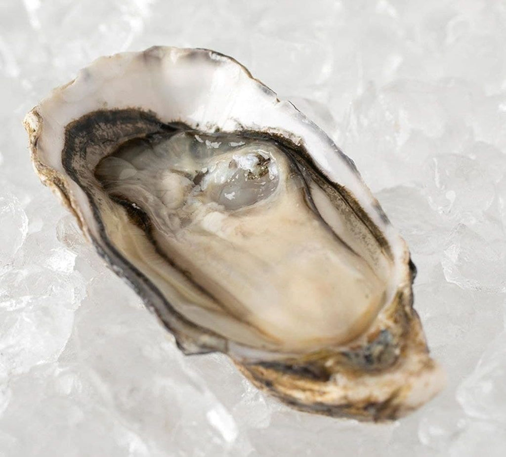 Oysters St Vaast
