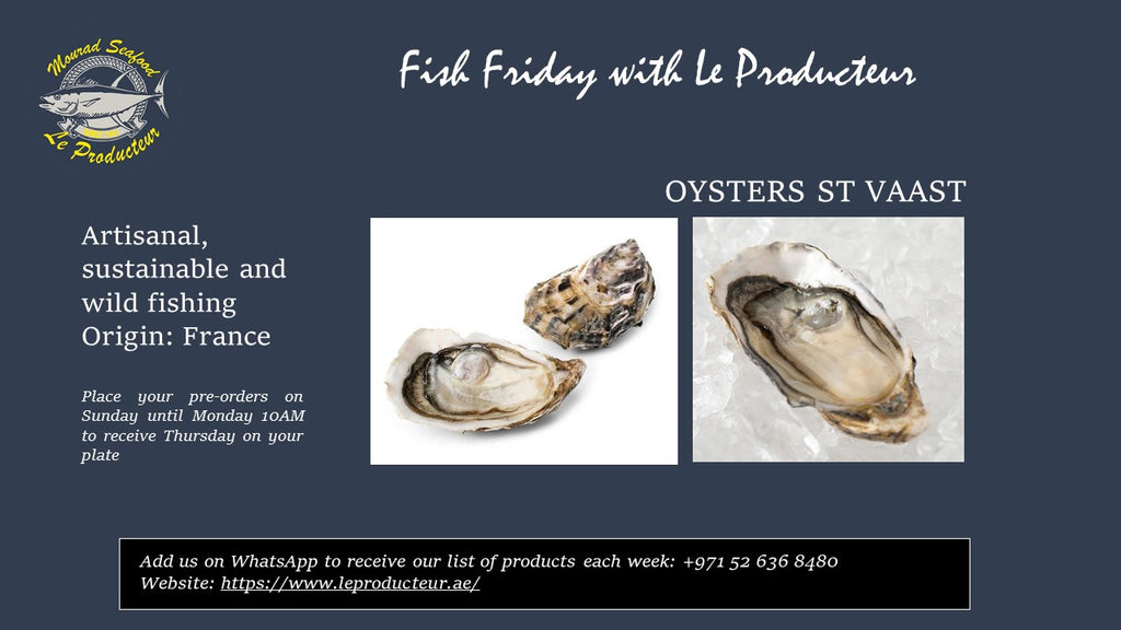 Oysters St Vaast